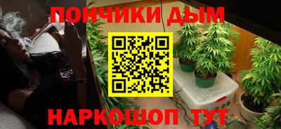 шишки Обнинск