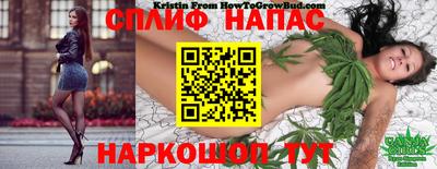 шишки Обнинск