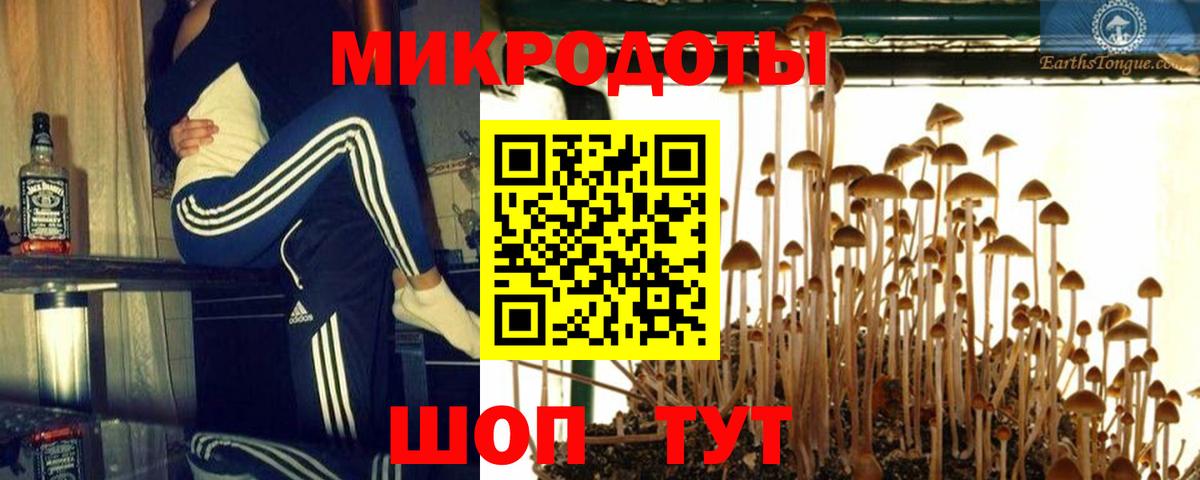 Псилоцибиновые грибы мицелий  Псилоцибиновые грибы Psilocybine cubensis  дарнет шоп  Вход с VPN  Сосновый Бор 